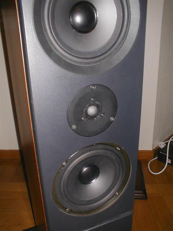P1010005 (Large).JPG