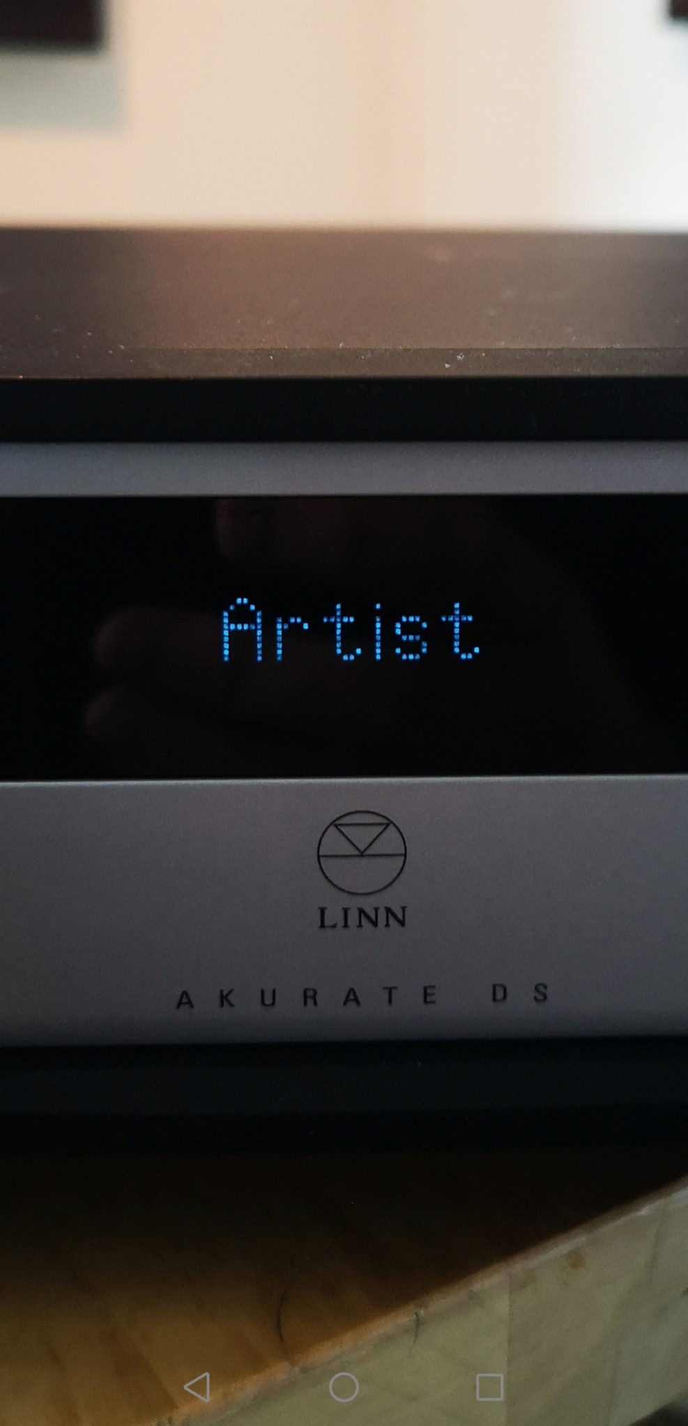 DS display.jpg
